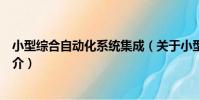 小型綜合自動化系統集成(關于小型綜合自動化系統集成簡介)