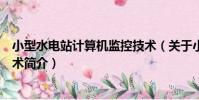 小型水電站計算機監控技術(關于小型水電站計算機監控技術簡介)