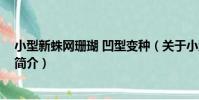 小型新蛛網珊瑚 凹型變種(關于小型新蛛網珊瑚 凹型變種簡介)