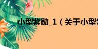 小型紫勛_1(關于小型紫勛_1簡介)