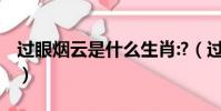 過眼煙云是什么生肖:?(過眼云煙打一個生肖)