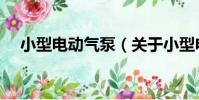 小型電動氣泵(關于小型電動氣泵簡介)
