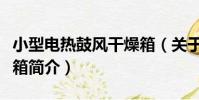 小型電熱鼓風干燥箱(關于小型電熱鼓風干燥箱簡介)