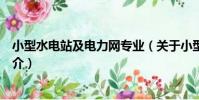 小型水電站及電力網專業(關于小型水電站及電力網專業簡介)