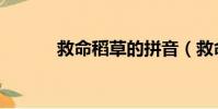 救命稻草的拼音(救命的拼音)