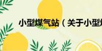 小型煤氣站(關于小型煤氣站簡介)