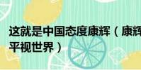 這就是中國態度康輝(康輝說中國已完全可以平視世界)