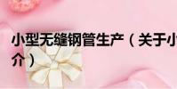 小型無縫鋼管生產(關于小型無縫鋼管生產簡介)