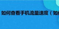 如何查看手機流量速度(如何查看手機流量)