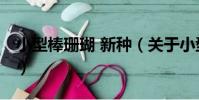 小型棒珊瑚 新種(關于小型棒珊瑚 新種簡介)