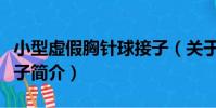 小型虛假胸針球接子(關于小型虛假胸針球接子簡介)