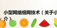 小型網絡組網技術(關于小型網絡組網技術簡介)