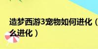 造夢西游3寵物如何進化(造夢西游3寵物怎么進化)