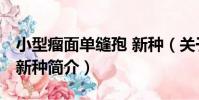 小型瘤面單縫孢 新種(關于小型瘤面單縫孢 新種簡介)