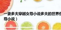 一妻多夫穿越女尊小說多夫的世界傷不起(一妻多夫穿越女尊小說)