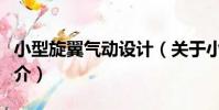 小型旋翼氣動設計(關于小型旋翼氣動設計簡介)