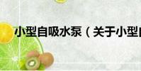 小型自吸水泵(關于小型自吸水泵簡介)