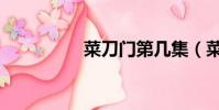 菜刀門第幾集(菜刀門)
