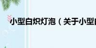 小型白熾燈泡(關于小型白熾燈泡簡介)