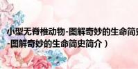 小型無脊椎動物-圖解奇妙的生命簡史(關于小型無脊椎動物-圖解奇妙的生命簡史簡介)