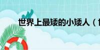世界上最矮的小矮人(世界最矮人)