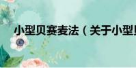 小型貝賽麥法(關于小型貝賽麥法簡介)