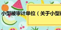 小型被審計單位(關于小型被審計單位簡介)