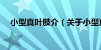 小型真葉肢介(關于小型真葉肢介簡介)