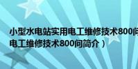 小型水電站實用電工維修技術800問(關于小型水電站實用電工維修技術800問簡介)