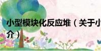 小型模塊化反應堆(關于小型模塊化反應堆簡介)