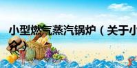 小型燃氣蒸汽鍋爐(關于小型燃氣蒸汽鍋爐簡介)