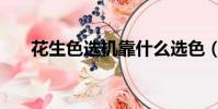 花生色選機靠什么選色(花生色選機)