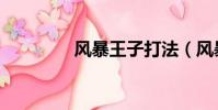 風暴王子打法(風暴王子)