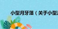 小型月牙藻(關于小型月牙藻簡介)
