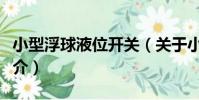 小型浮球液位開關(關于小型浮球液位開關簡介)