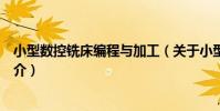 小型數控銑床編程與加工(關于小型數控銑床編程與加工簡介)