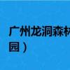 廣州龍洞森林公園旅游攻略（廣州龍洞森林公園）