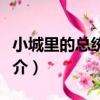 小城里的總統套房（關于小城里的總統套房簡介）