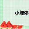 小埋體操（關于小埋體操簡介）