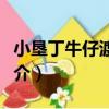 小墾丁牛仔渡假村（關于小墾丁牛仔渡假村簡介）
