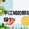 平江城的那些日子（關于平江城的那些日子介紹）