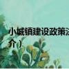 小城鎮建設政策法規指南（關于小城鎮建設政策法規指南簡介）