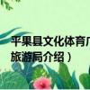 平果縣文化體育廣電和旅游局（關于平果縣文化體育廣電和旅游局介紹）