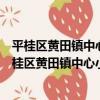平桂區黃田鎮中心小學新時代文明實踐志愿服務隊（關于平桂區黃田鎮中心小學新時代文明實踐志愿服務隊介紹）