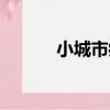 小城市病（關于小城市病簡介）