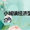 小城鎮經濟型酒店（關于小城鎮經濟型酒店簡介）