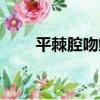 平棘腔吻鱈（關于平棘腔吻鱈介紹）