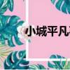 小城平凡事（關于小城平凡事簡介）