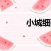 小城細雨（關于小城細雨簡介）
