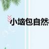小垴包自然村（關于小垴包自然村簡介）